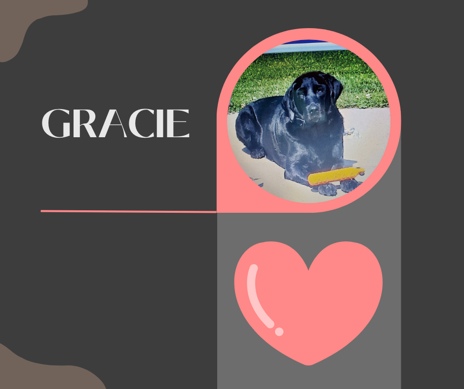 Gracie (2).png