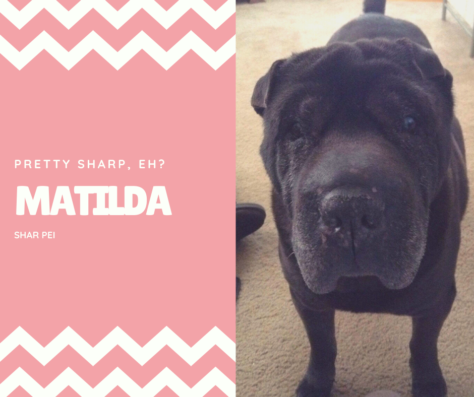 matilda.png