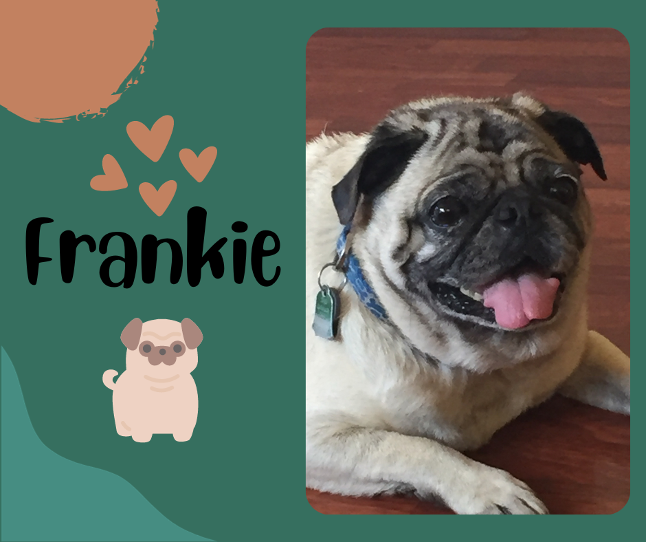 Frankie (2).png