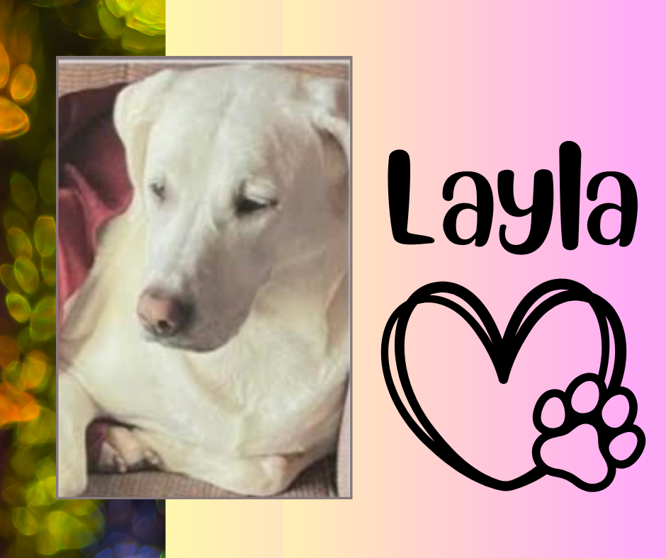 Layla.png