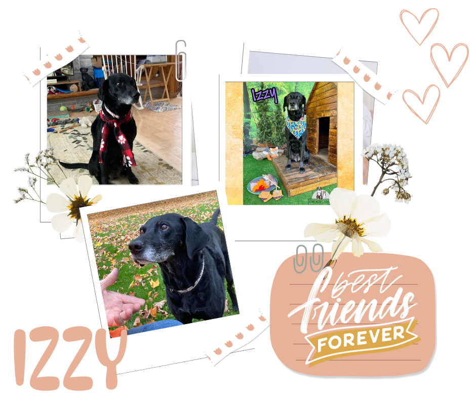 IZZY.png