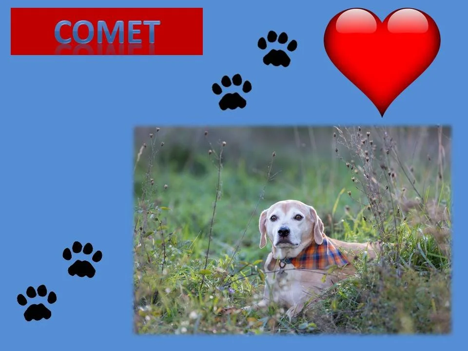 Comet.jpg
