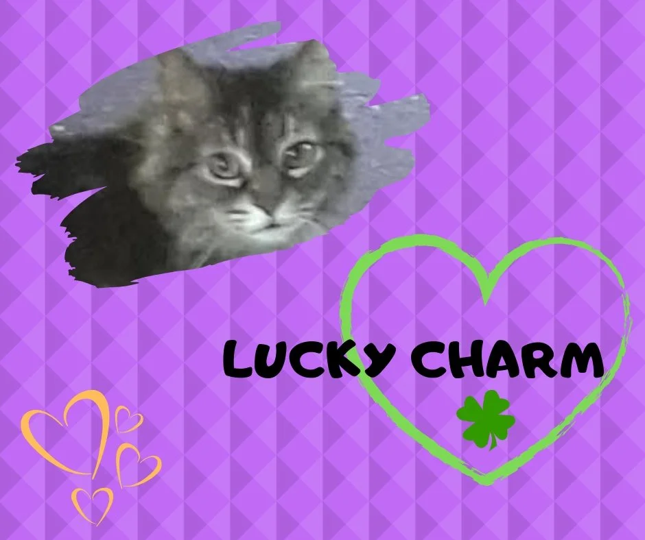 LUCKY CHARM.jpg