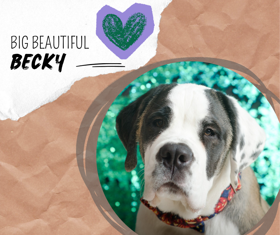 BIG BEAUTIFUL BECKY.png