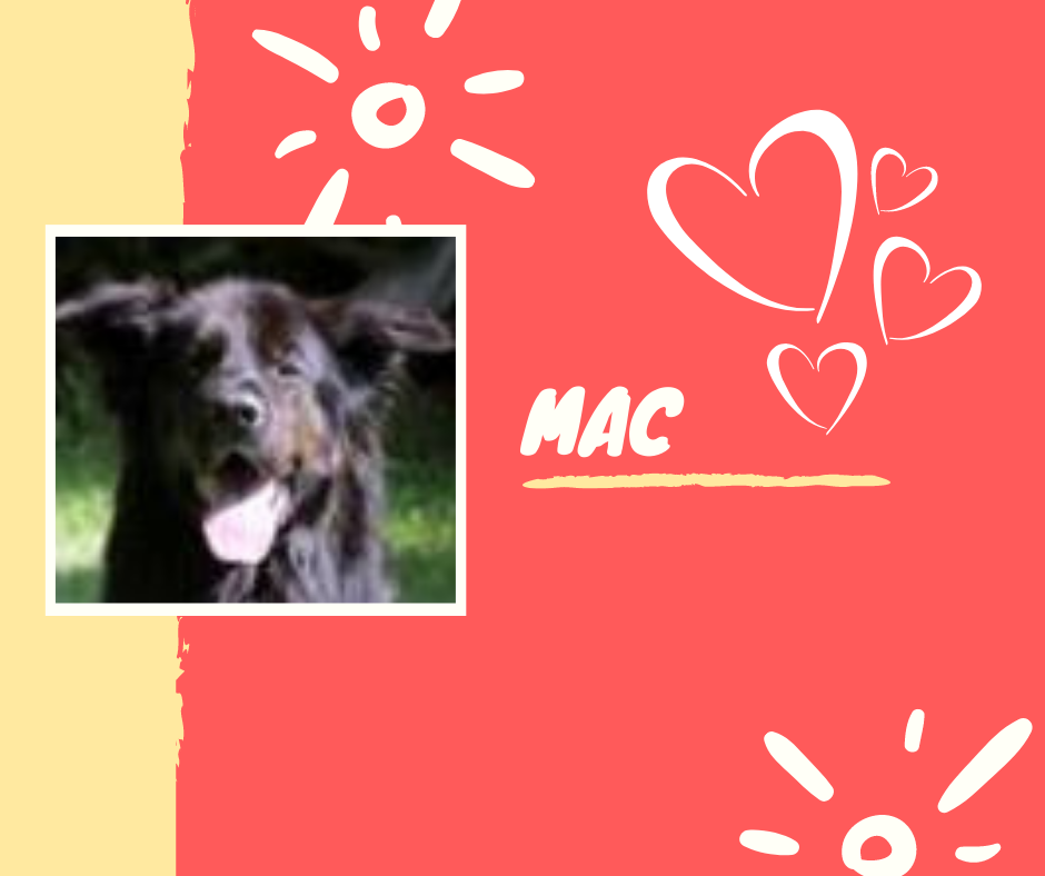 Mac.png