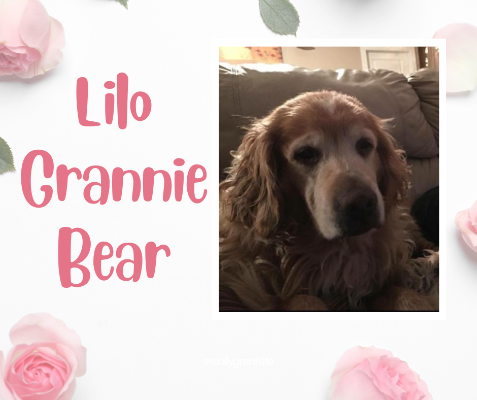 Lilo Grannie Bear.png