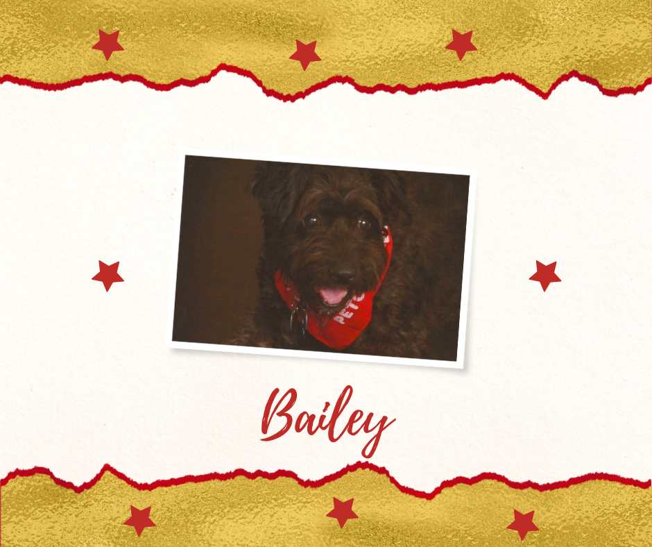 Bailey.png