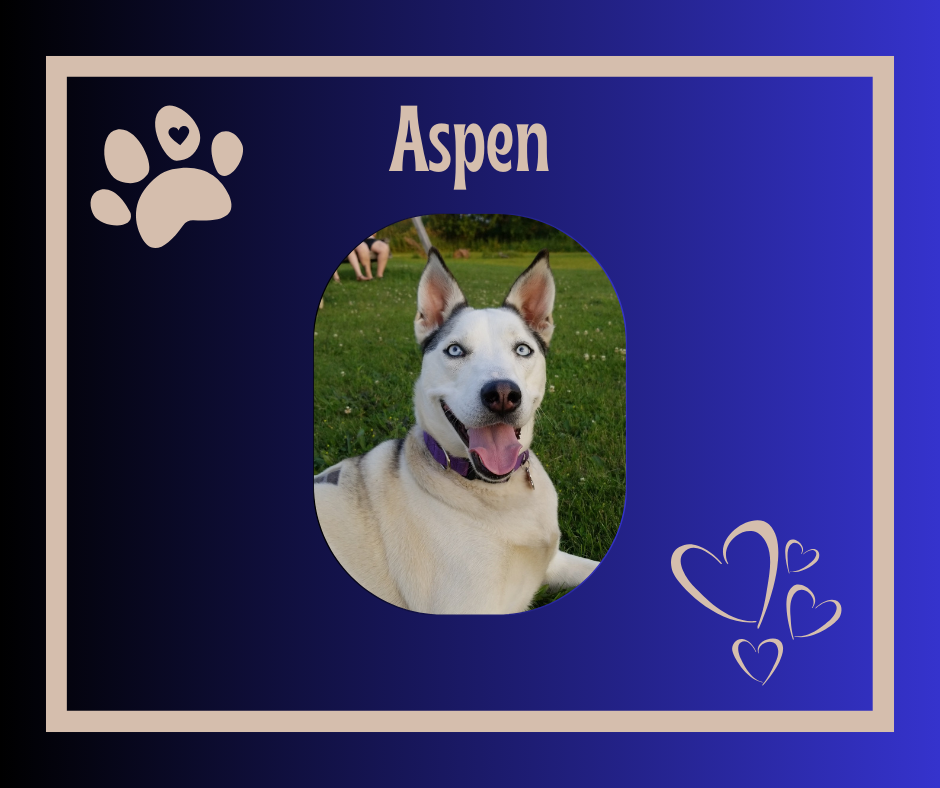 Aspen.png