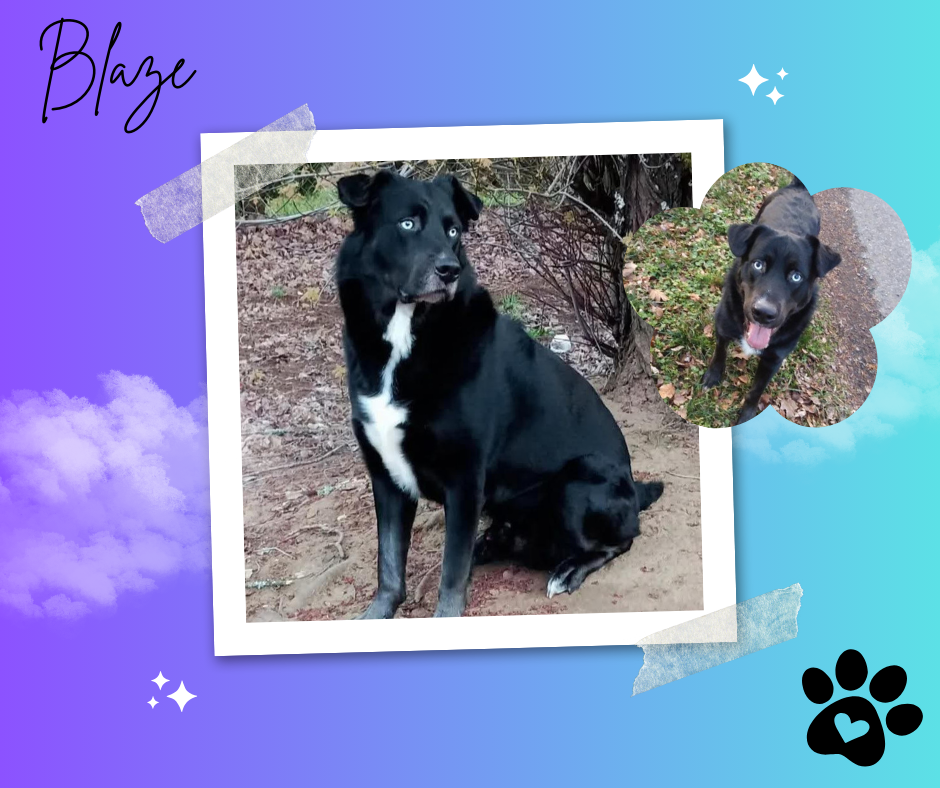 BLAZE.png
