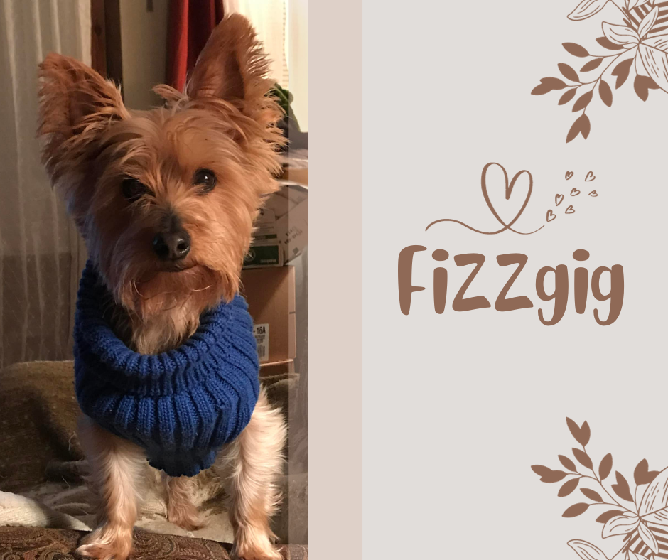 Fizzgig.png