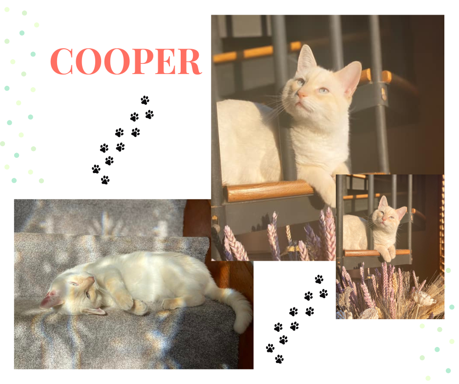 Cooper.png