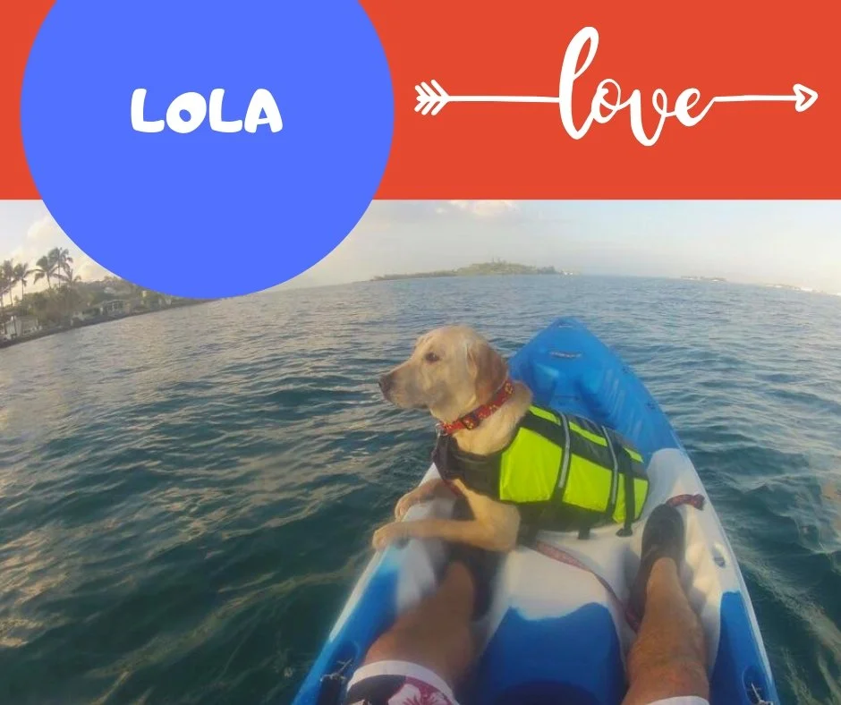 lola1.jpg