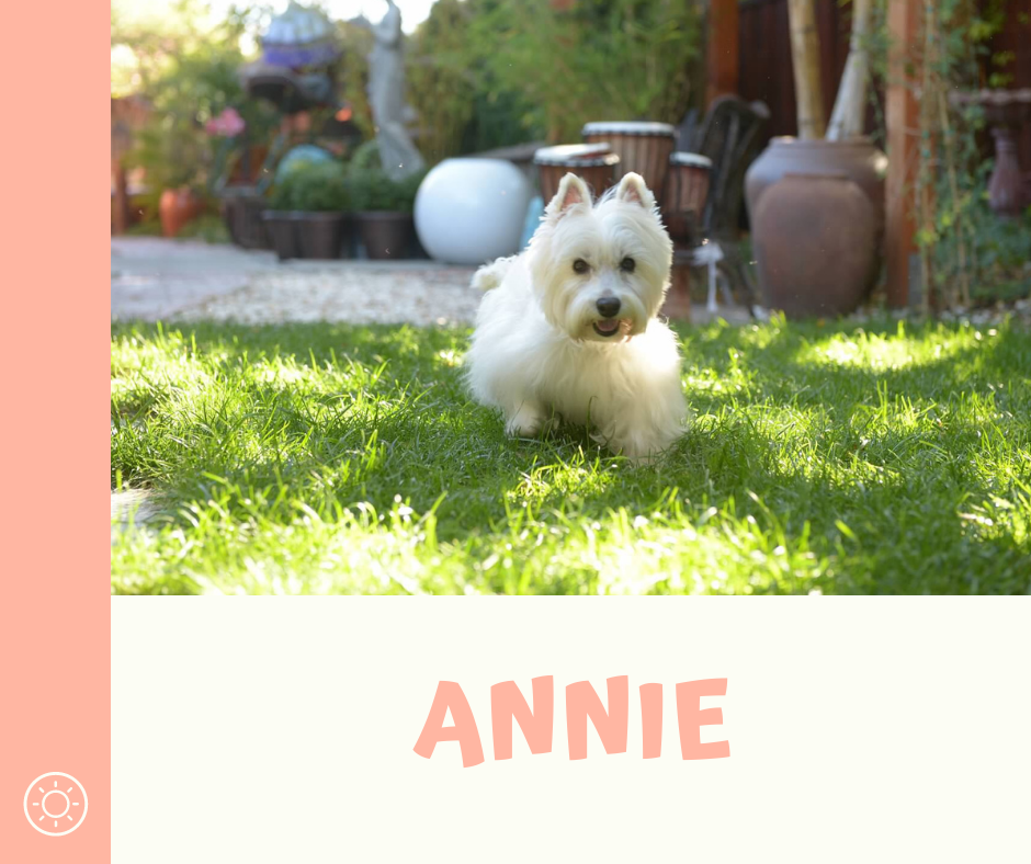ANNIE (1).png