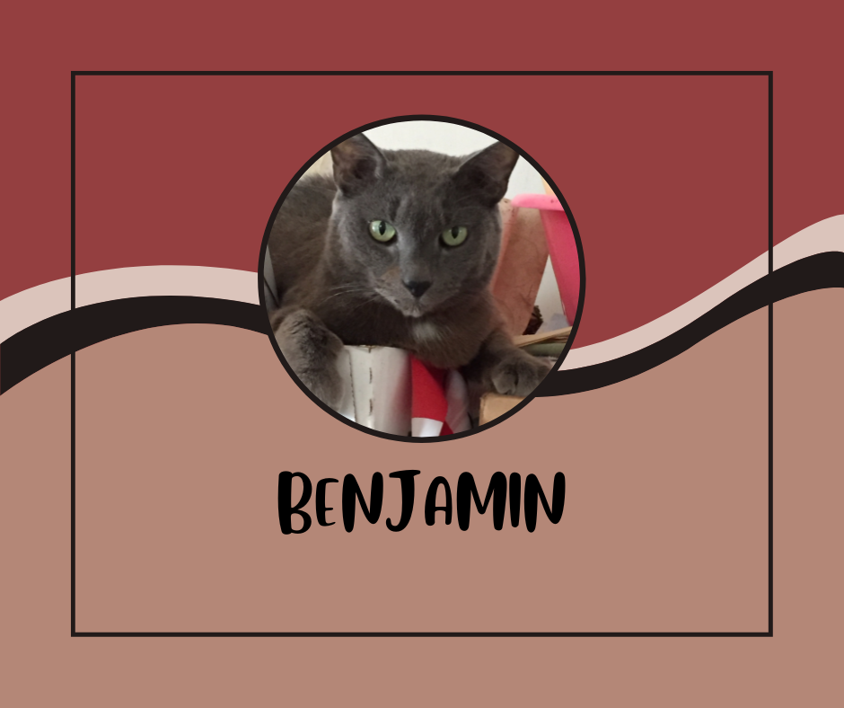Benjamin.png