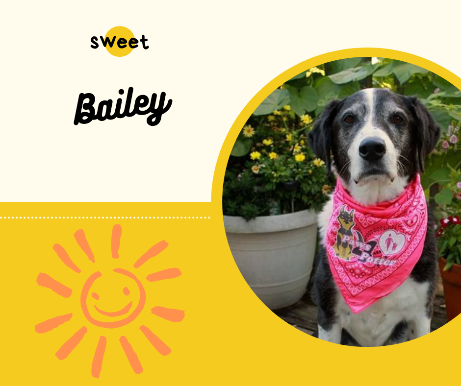Bailey (4).png
