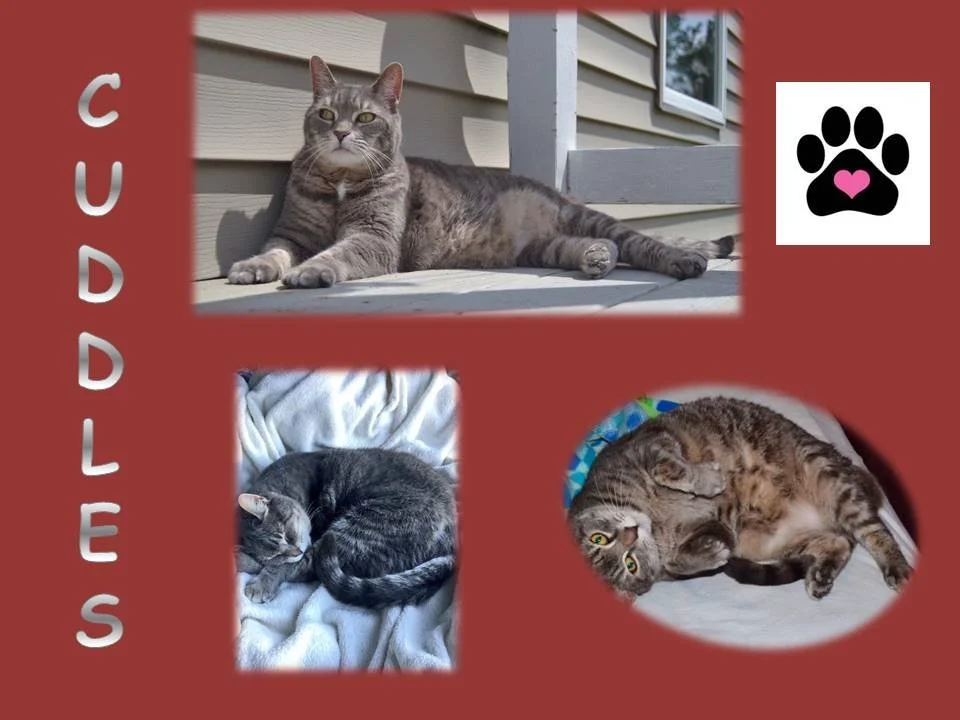 Cuddles.JPG