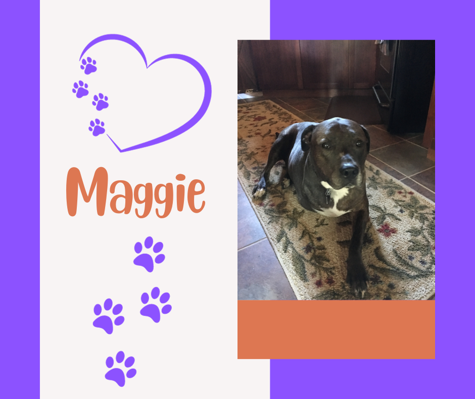 Maggie (1).png