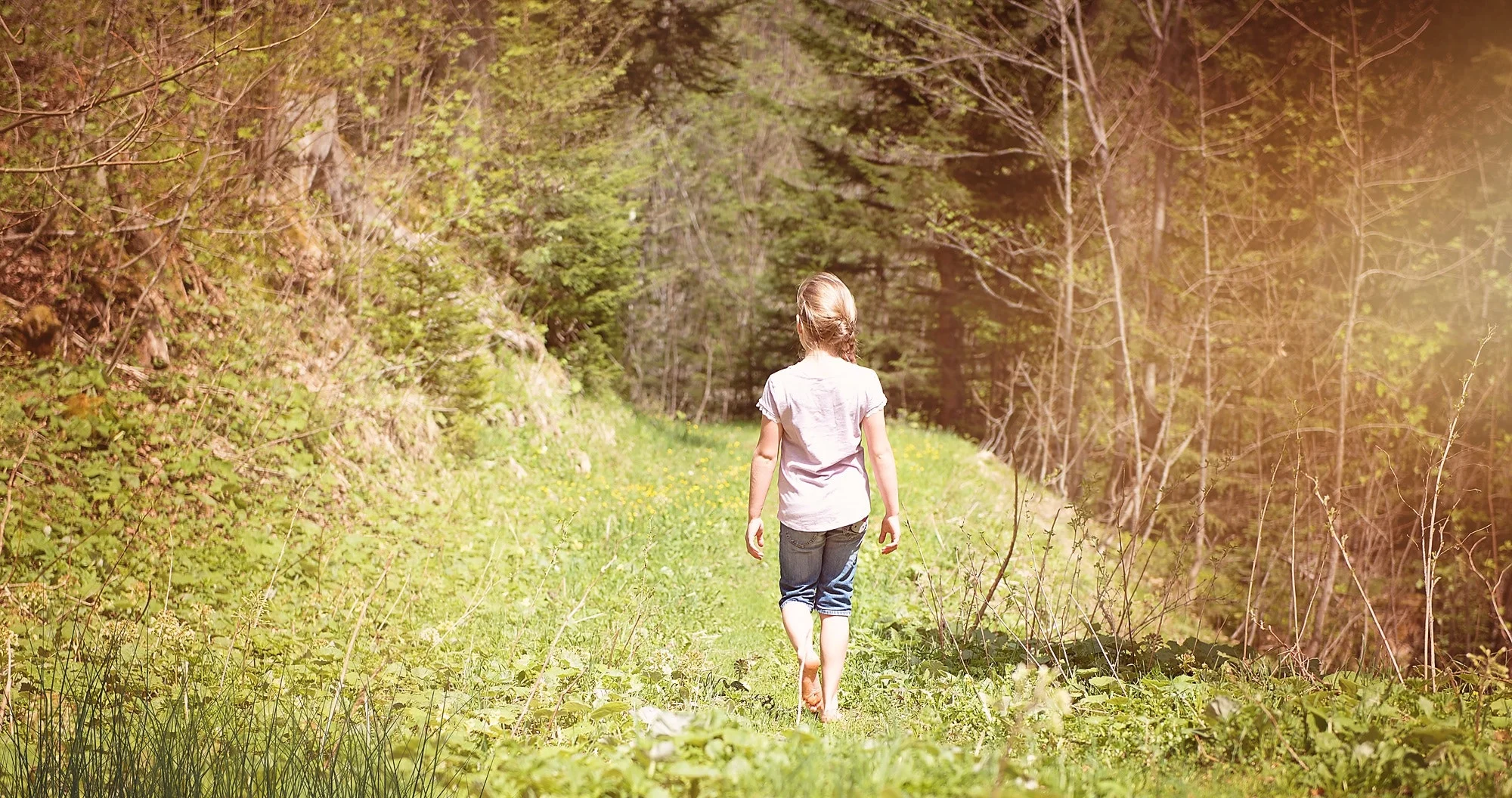 alone-away-back-view-274712.jpg