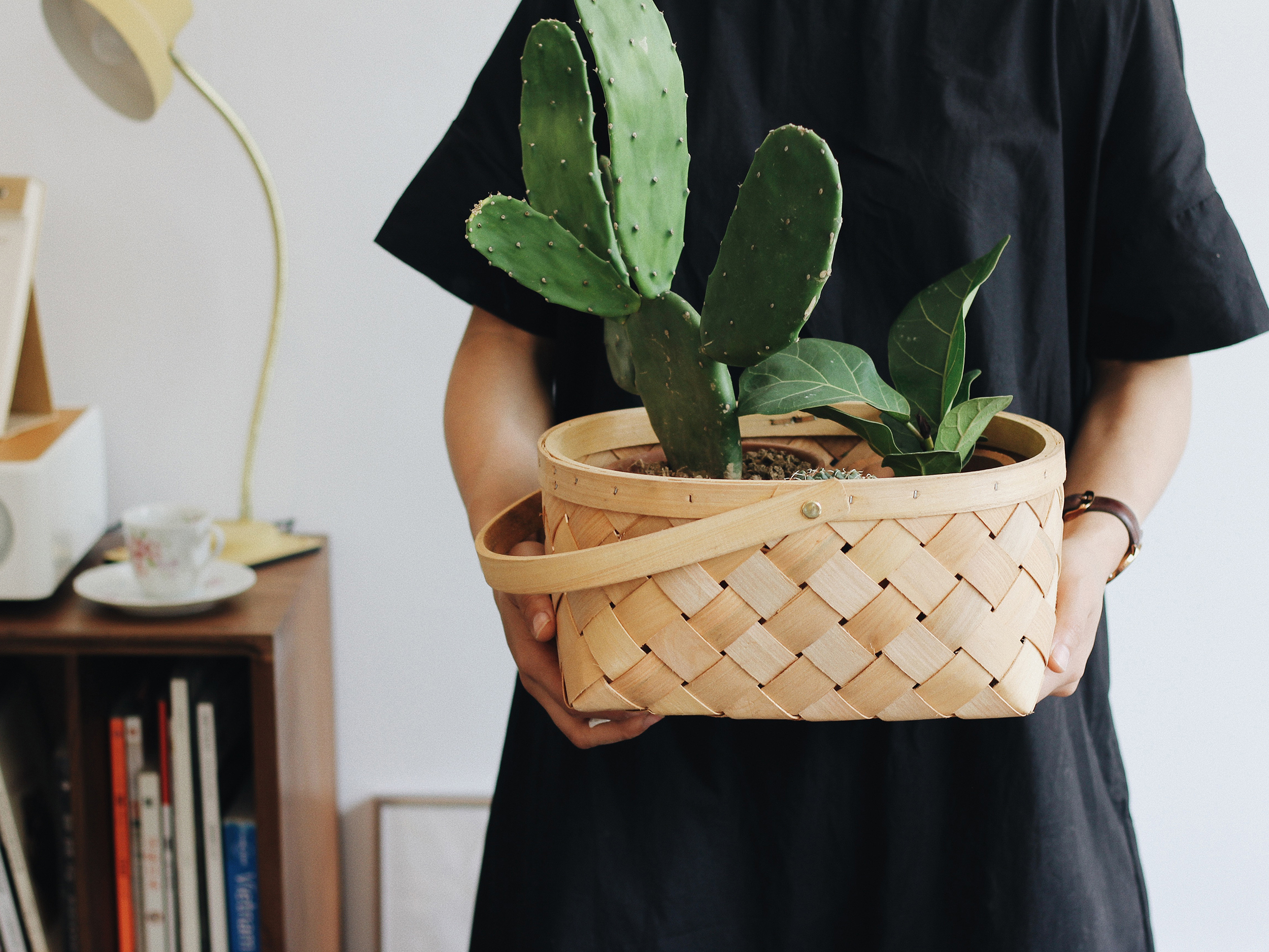 botanist-banner-2500.jpg