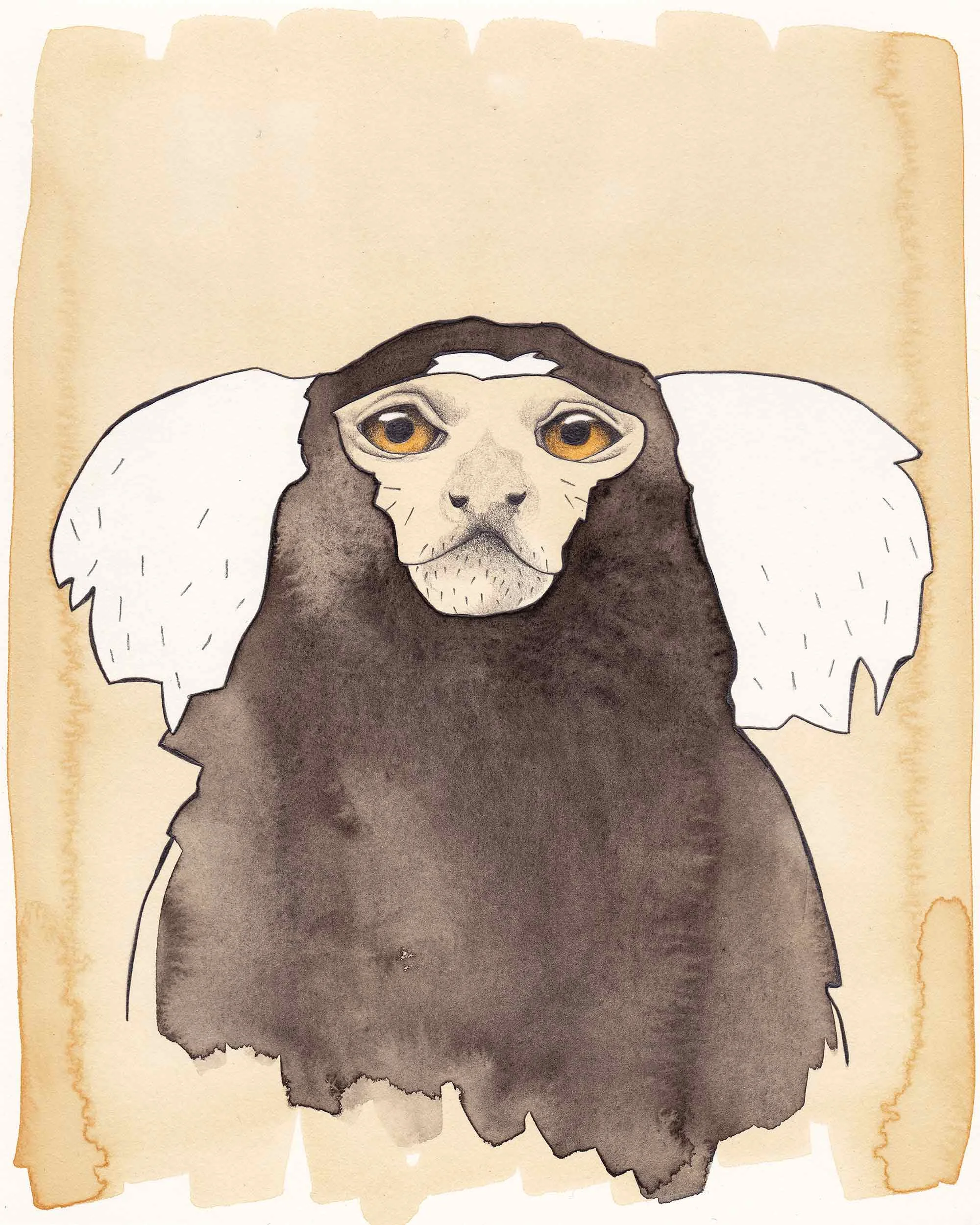 monkey_marmaset_illustration_annacreasy.jpg