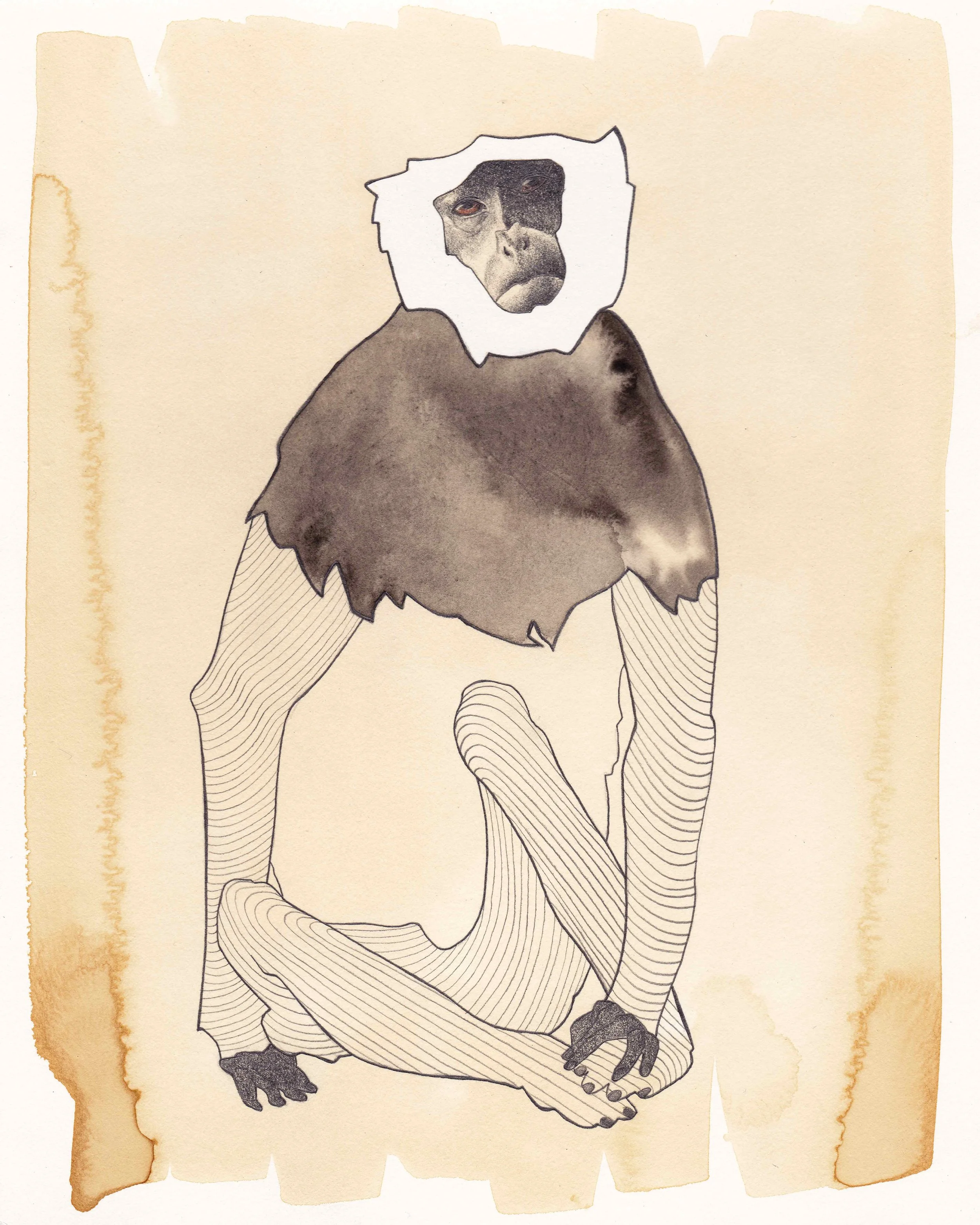 Monkey_Langur.jpg