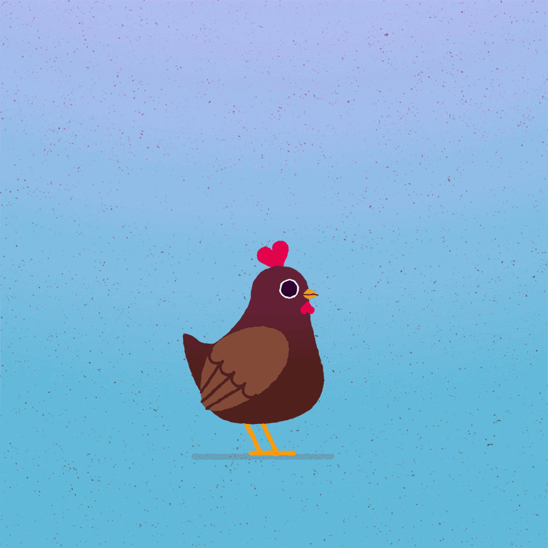chicken.gif