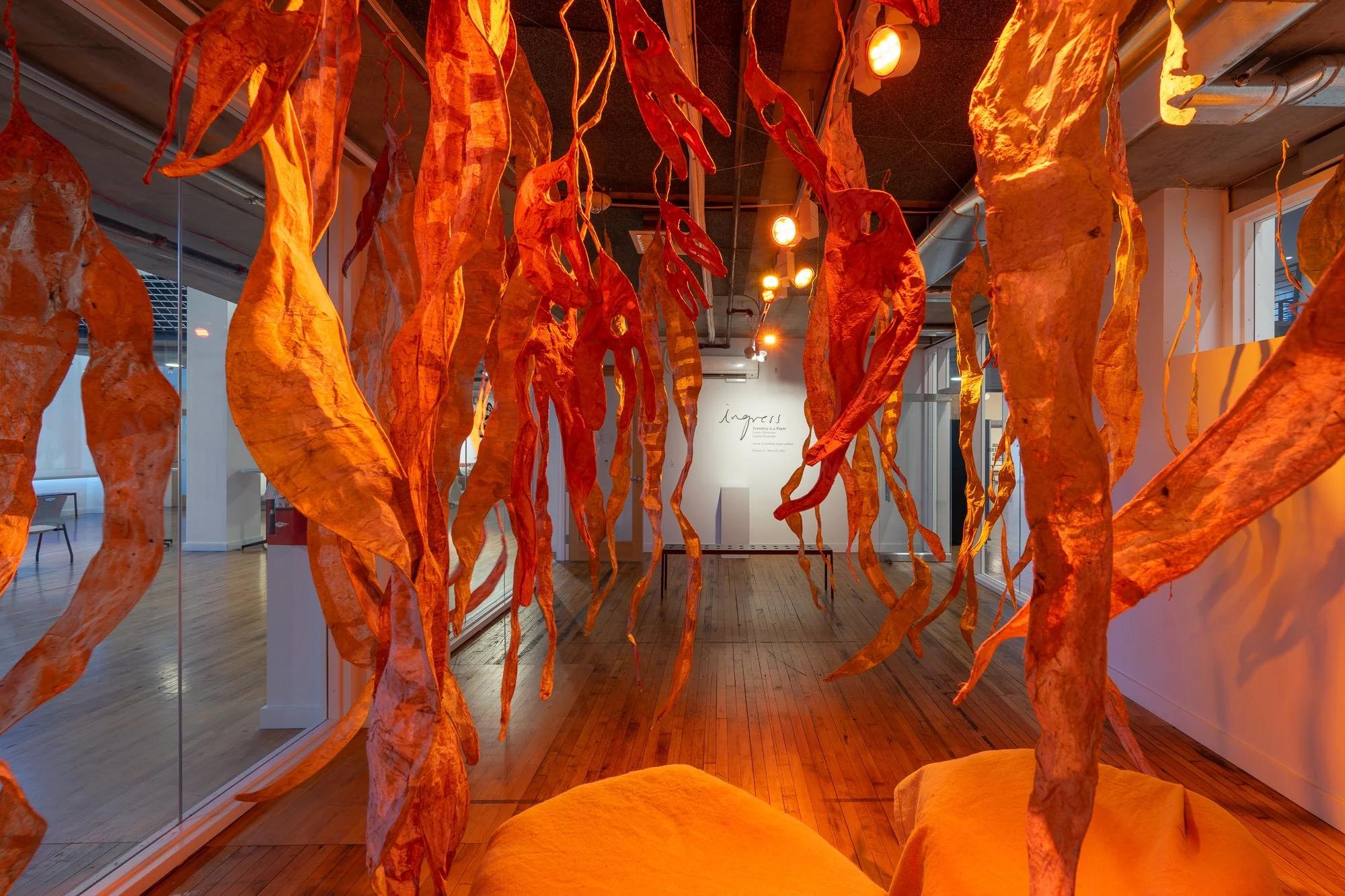 PNCA-CCAC-Astral-DZ2_2173-web.jpg