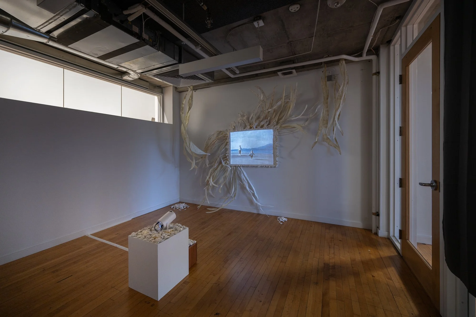 PNCA-CCAC-Astral-DZ2_2179-web.jpg