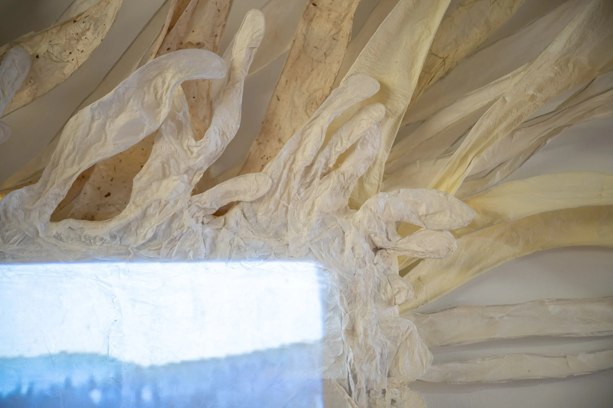 PNCA-CCAC-Astral-DZ2_2216-web.jpg