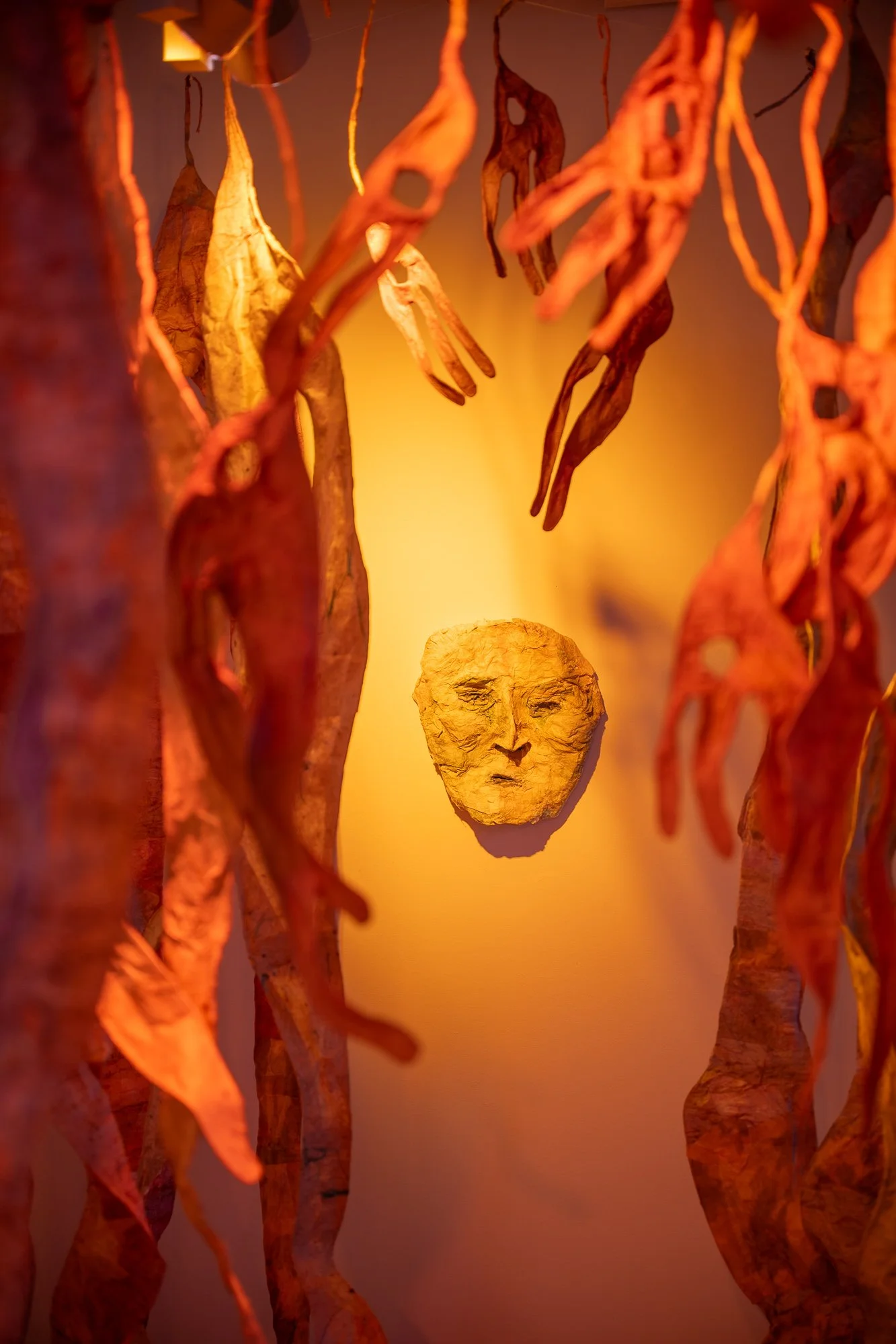 PNCA-CCAC-Astral-DZ2_2226-web.jpg