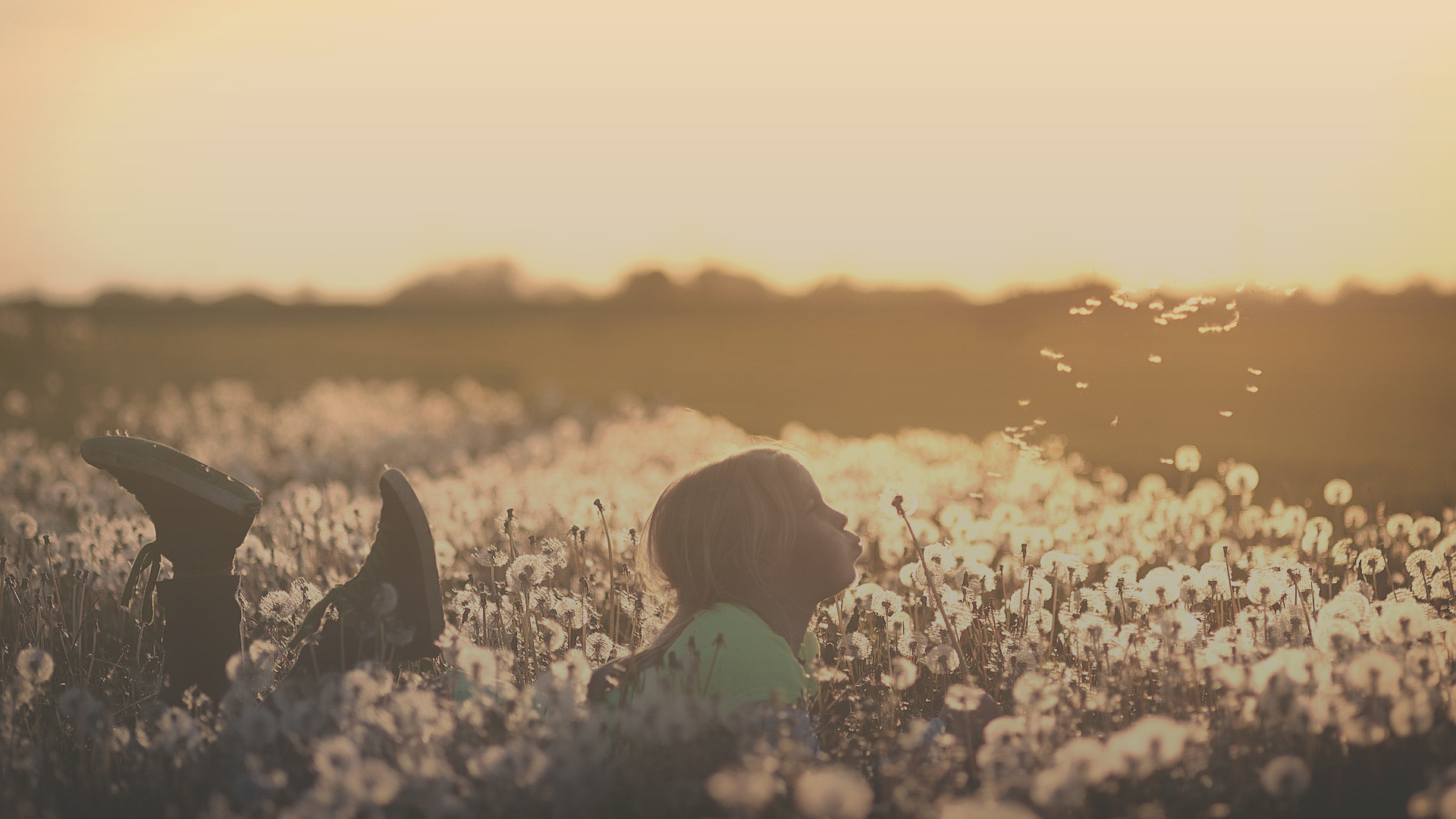 New Website Cover.png