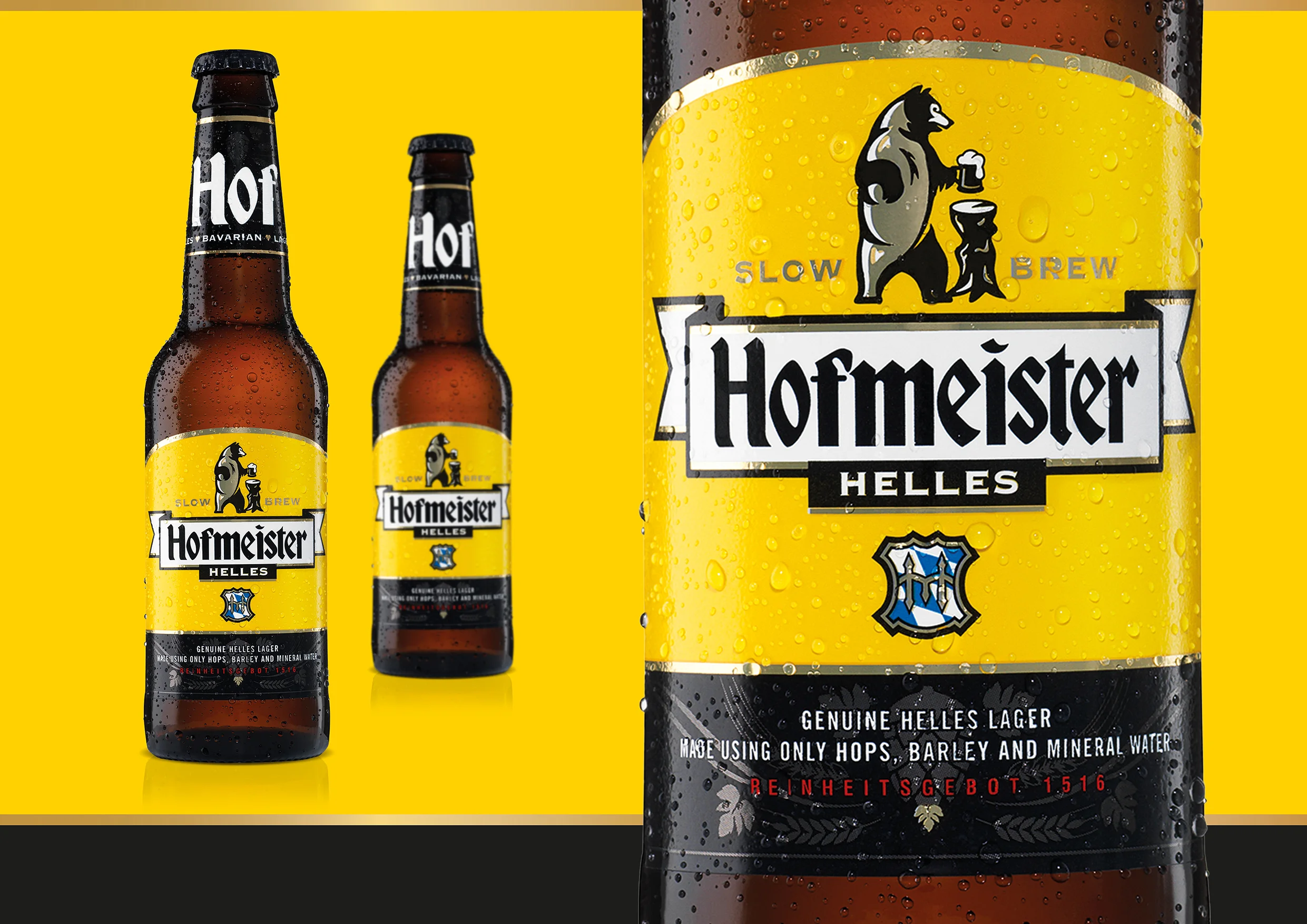 HOFMEISTER 1.jpg