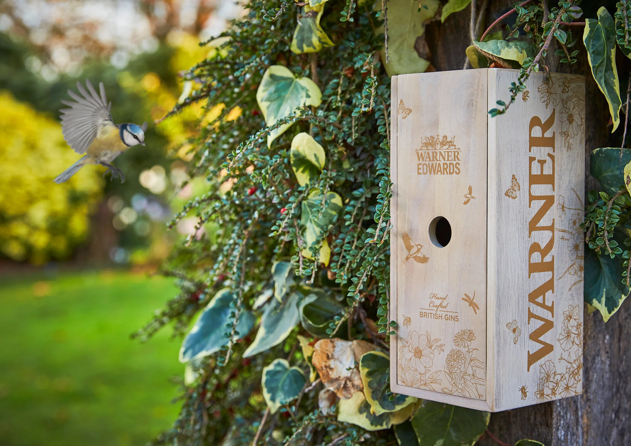 Warner Edwards - Bird box photo.jpg