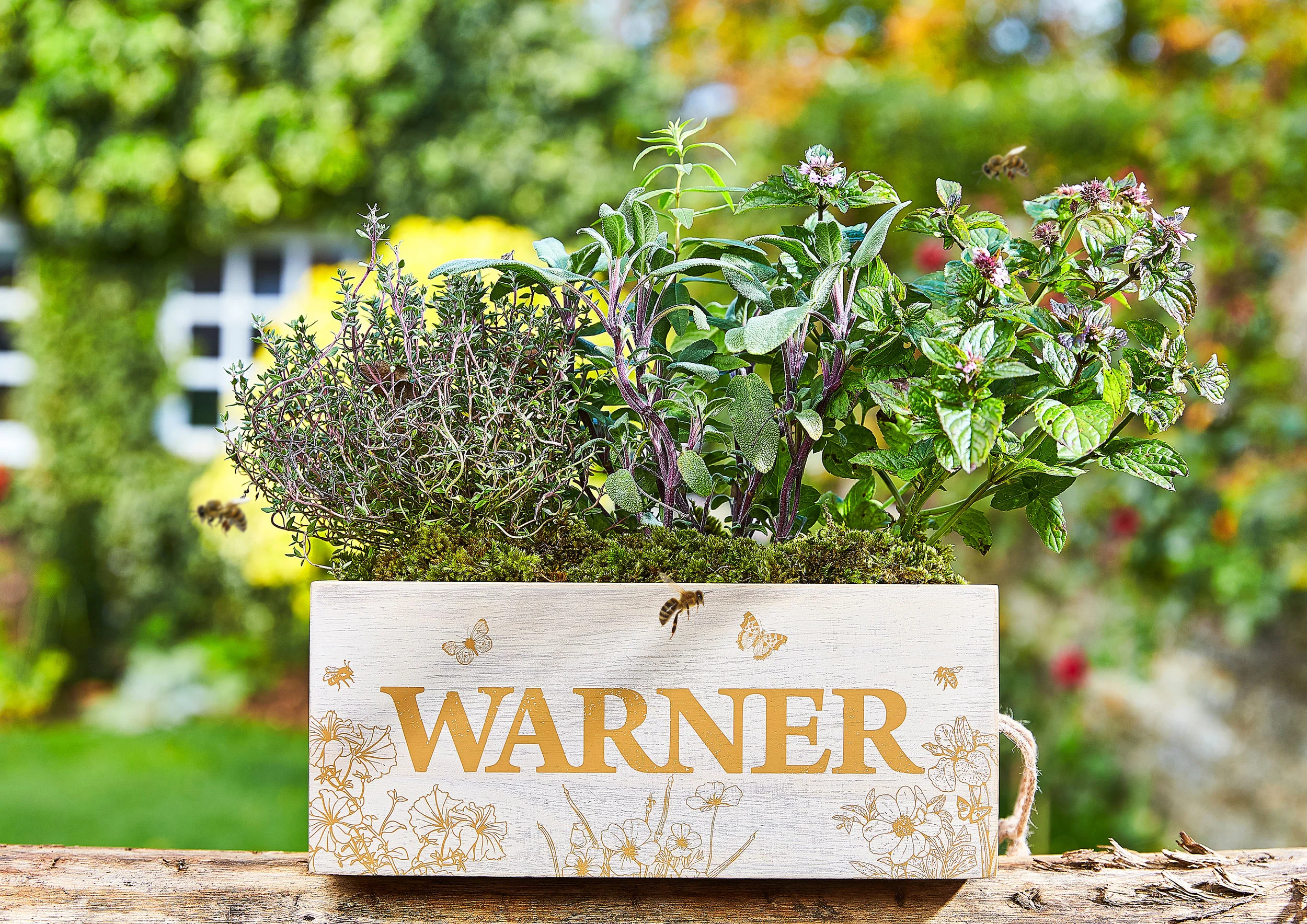 Warner Edwards - Planter photo 2.jpg