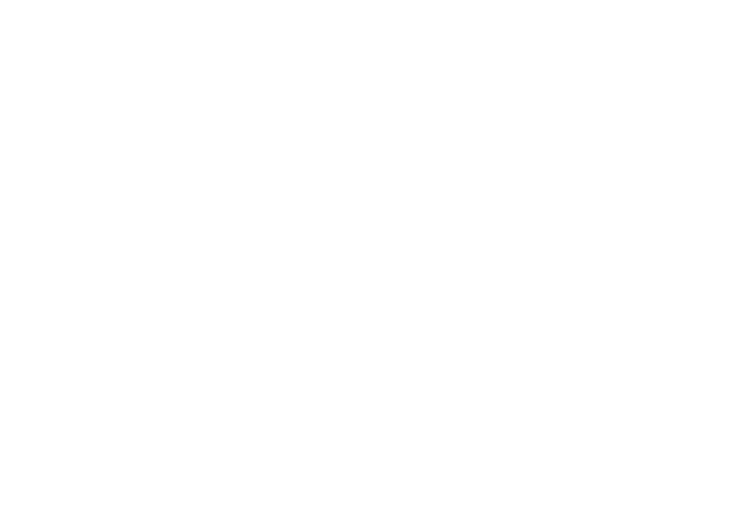 IRON SALON