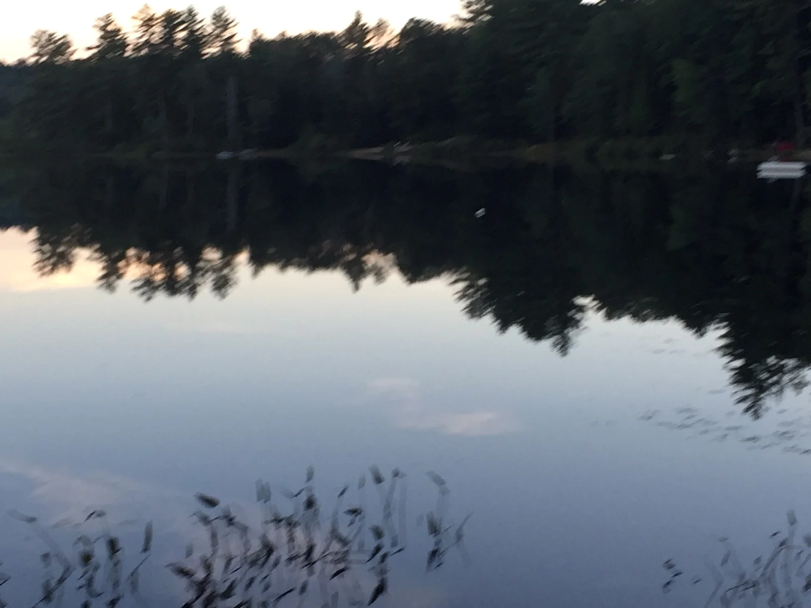 davispond4.jpg