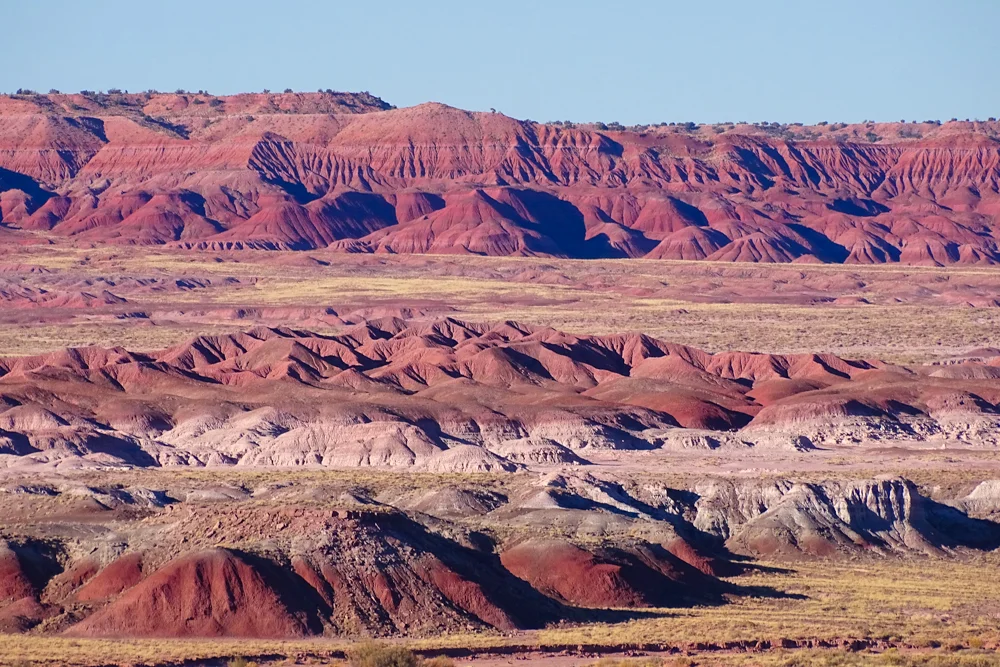 ARIZONA desert-4.jpg