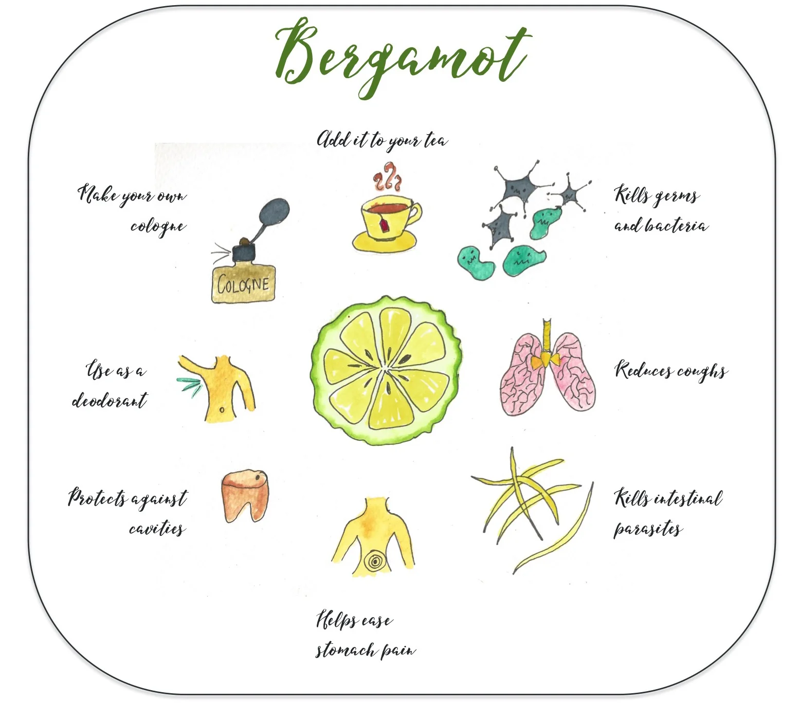 Bergamot2