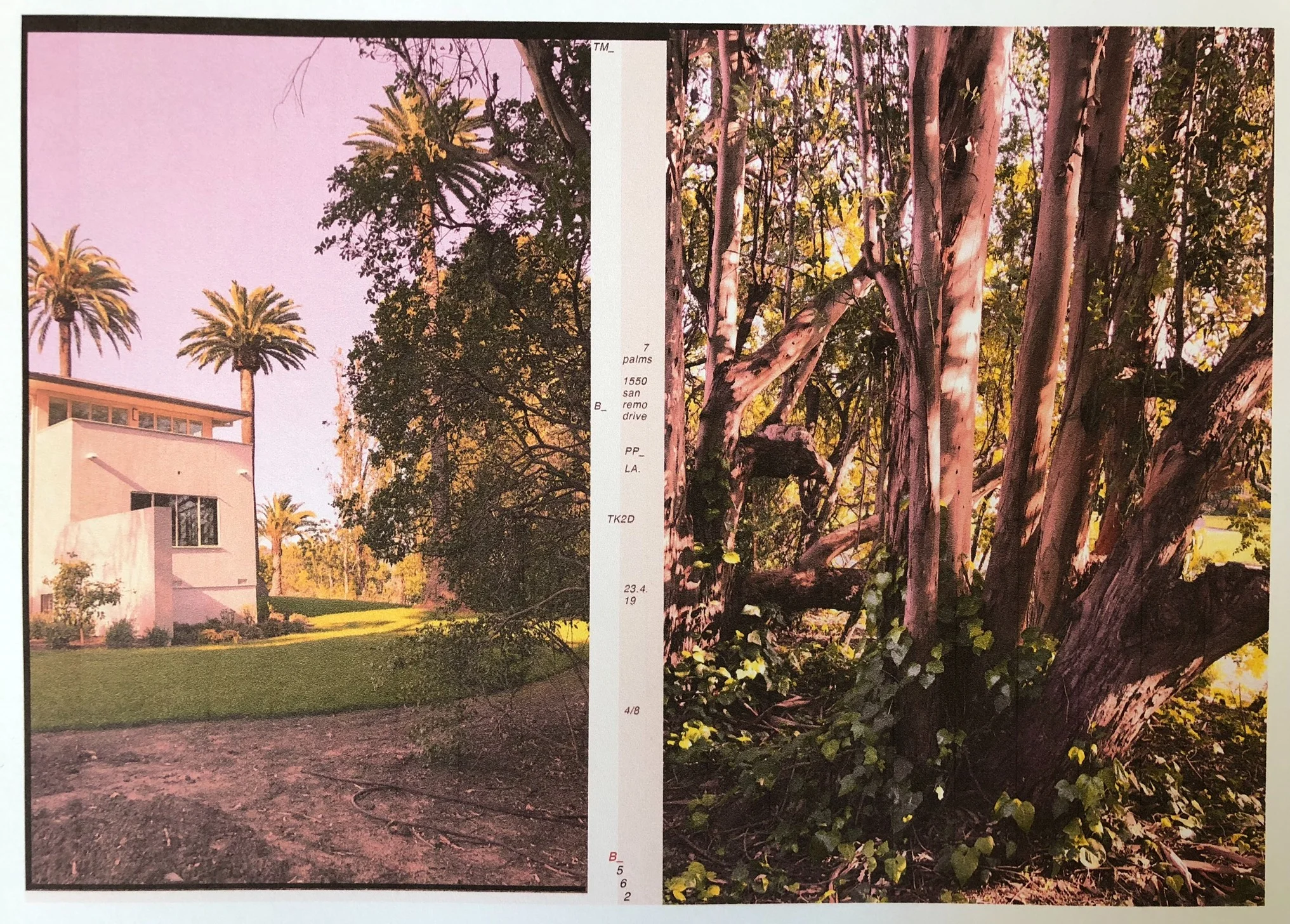 B3zehn Editorial San Remo Drive