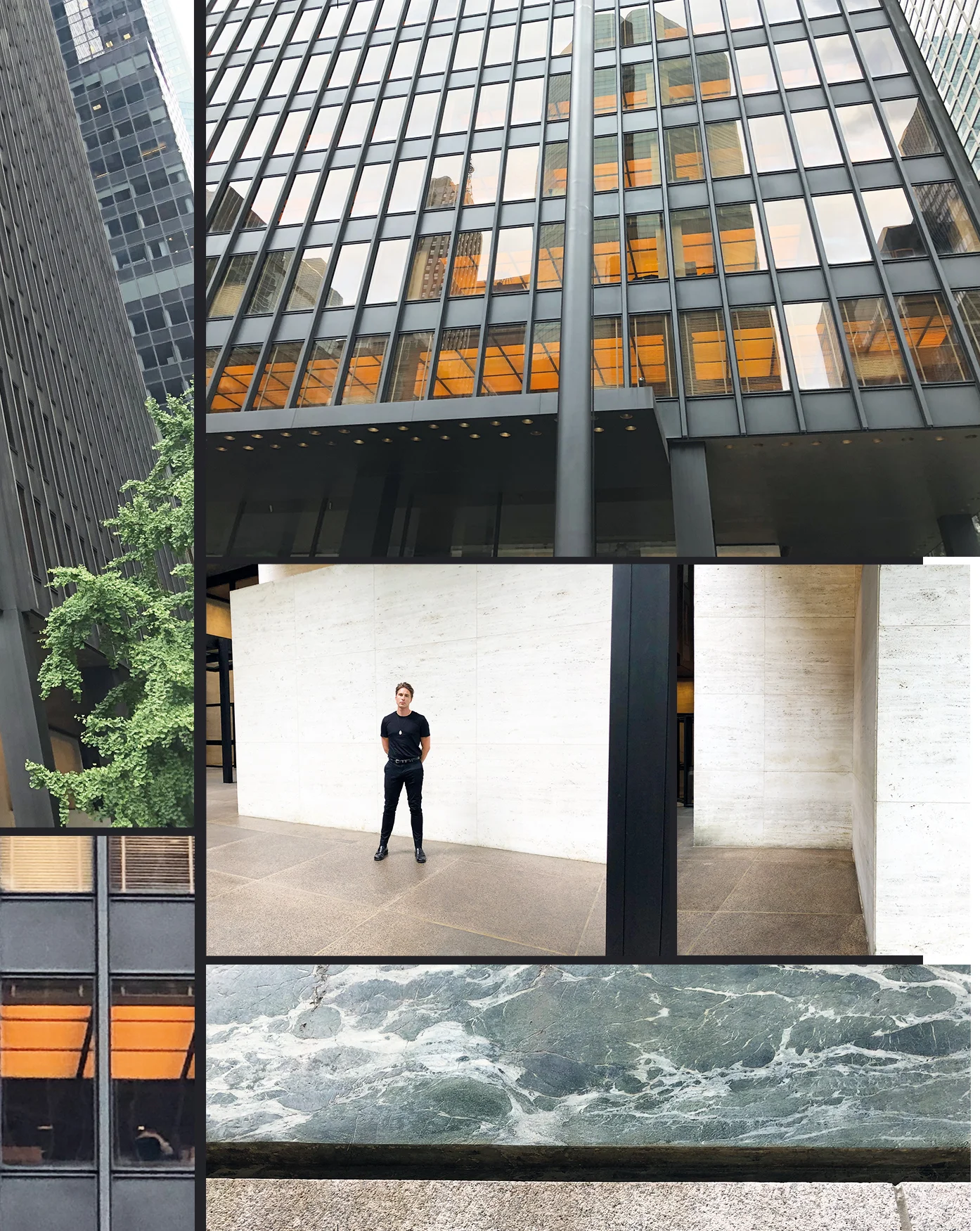 Seagram.web.4.jpg