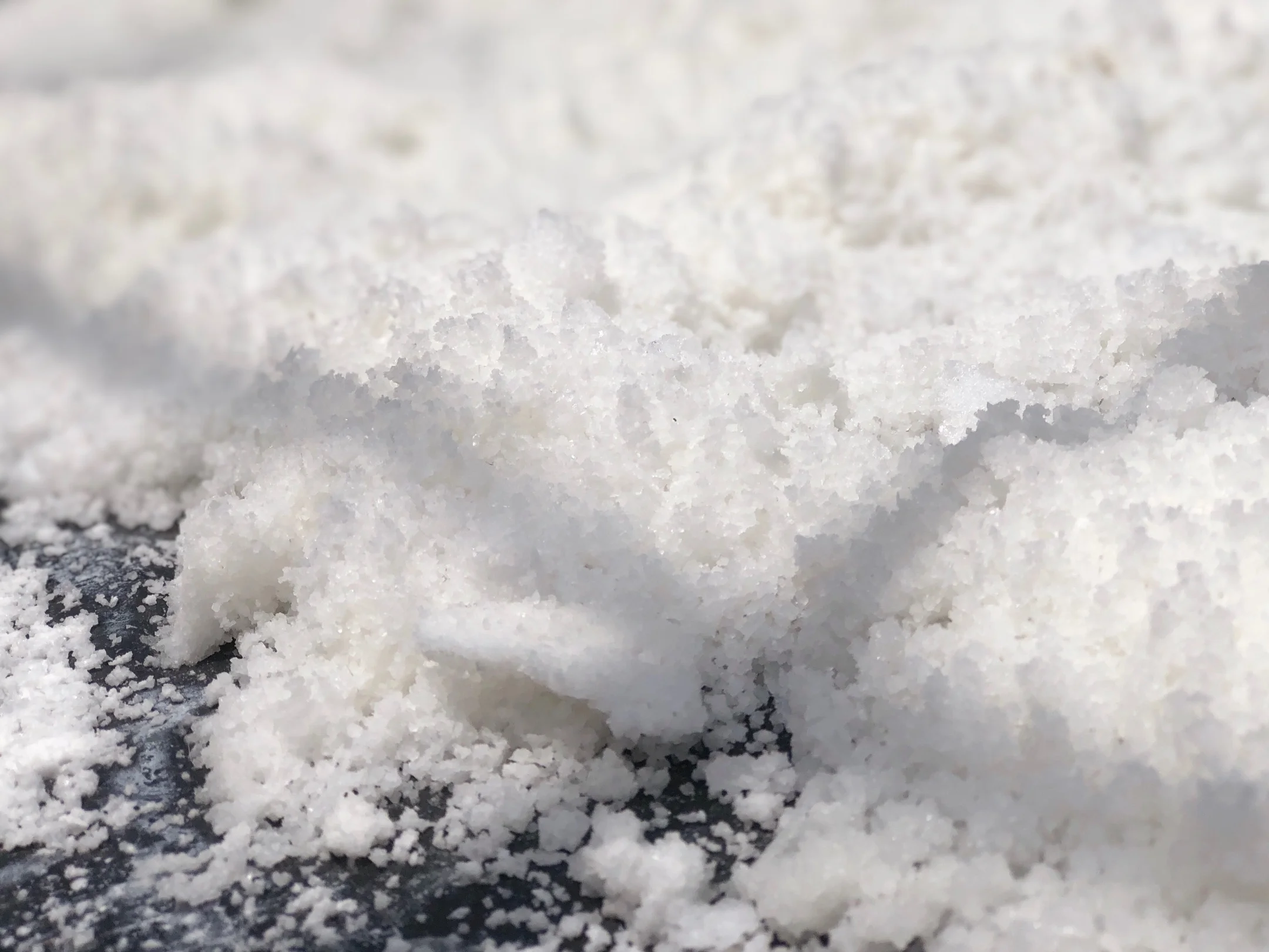 From The Salt Barons Desk