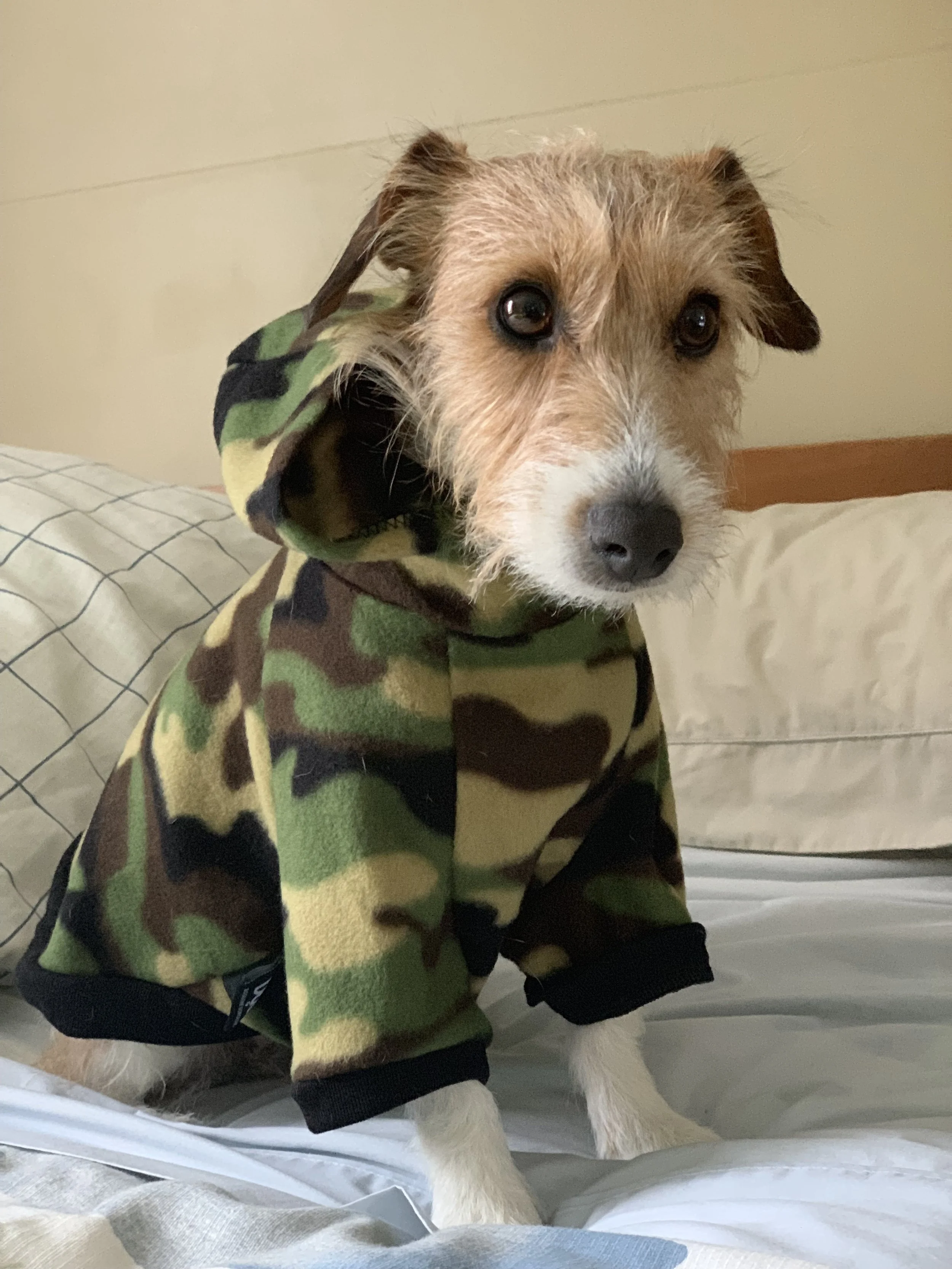 From The Salt Barons Desk