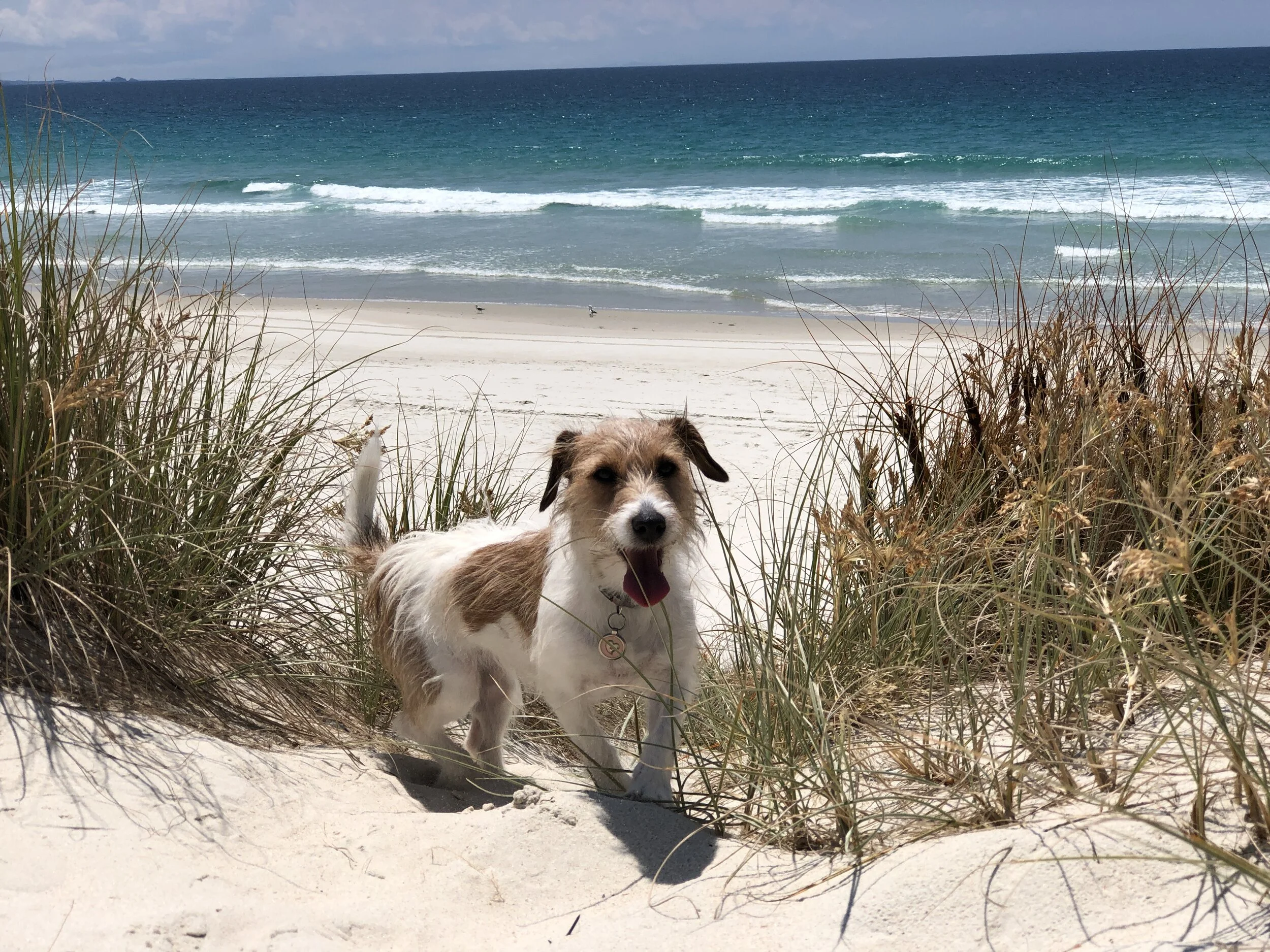 From The Salt Barons Desk - We are back!