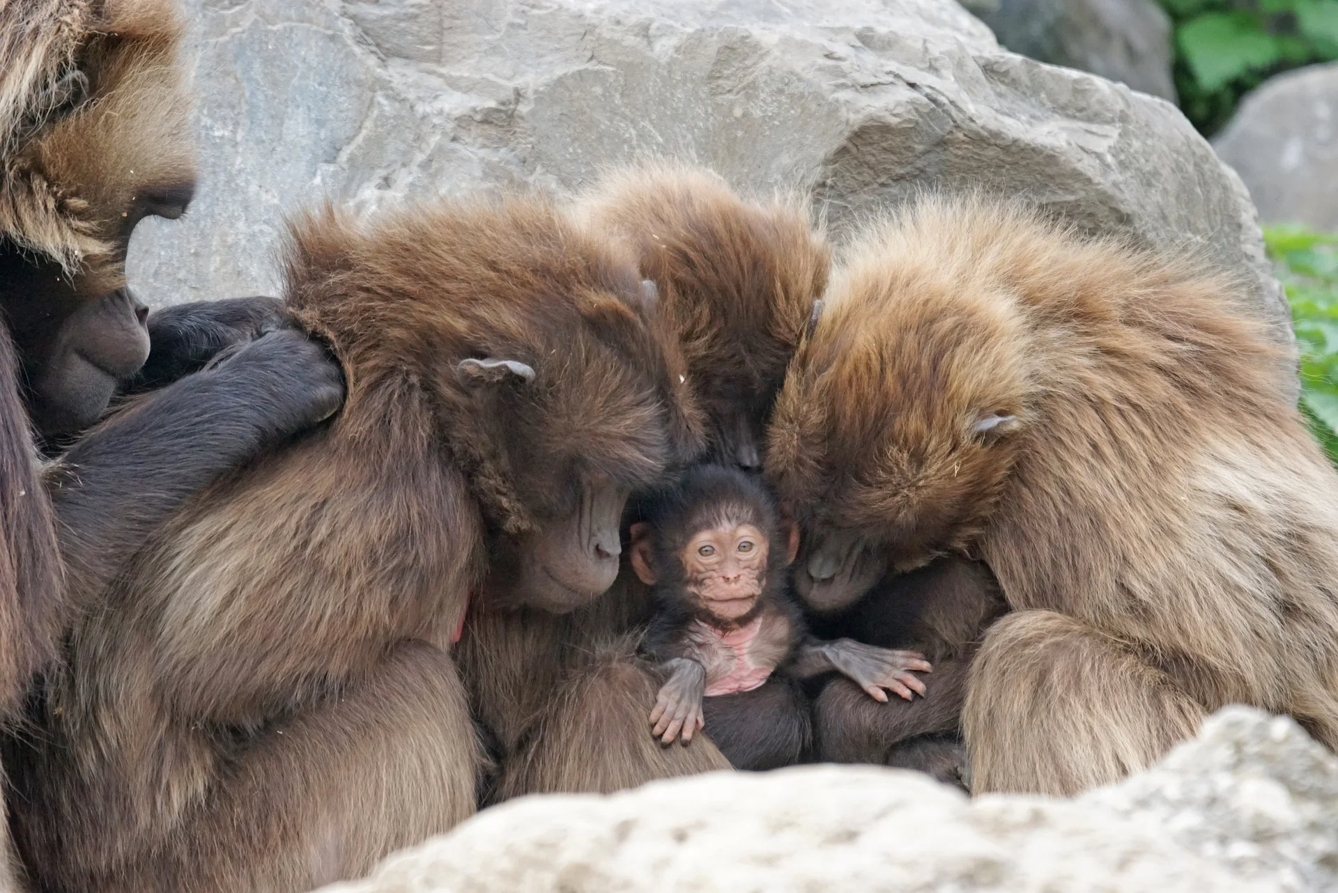 It really does take a village to raise a child
