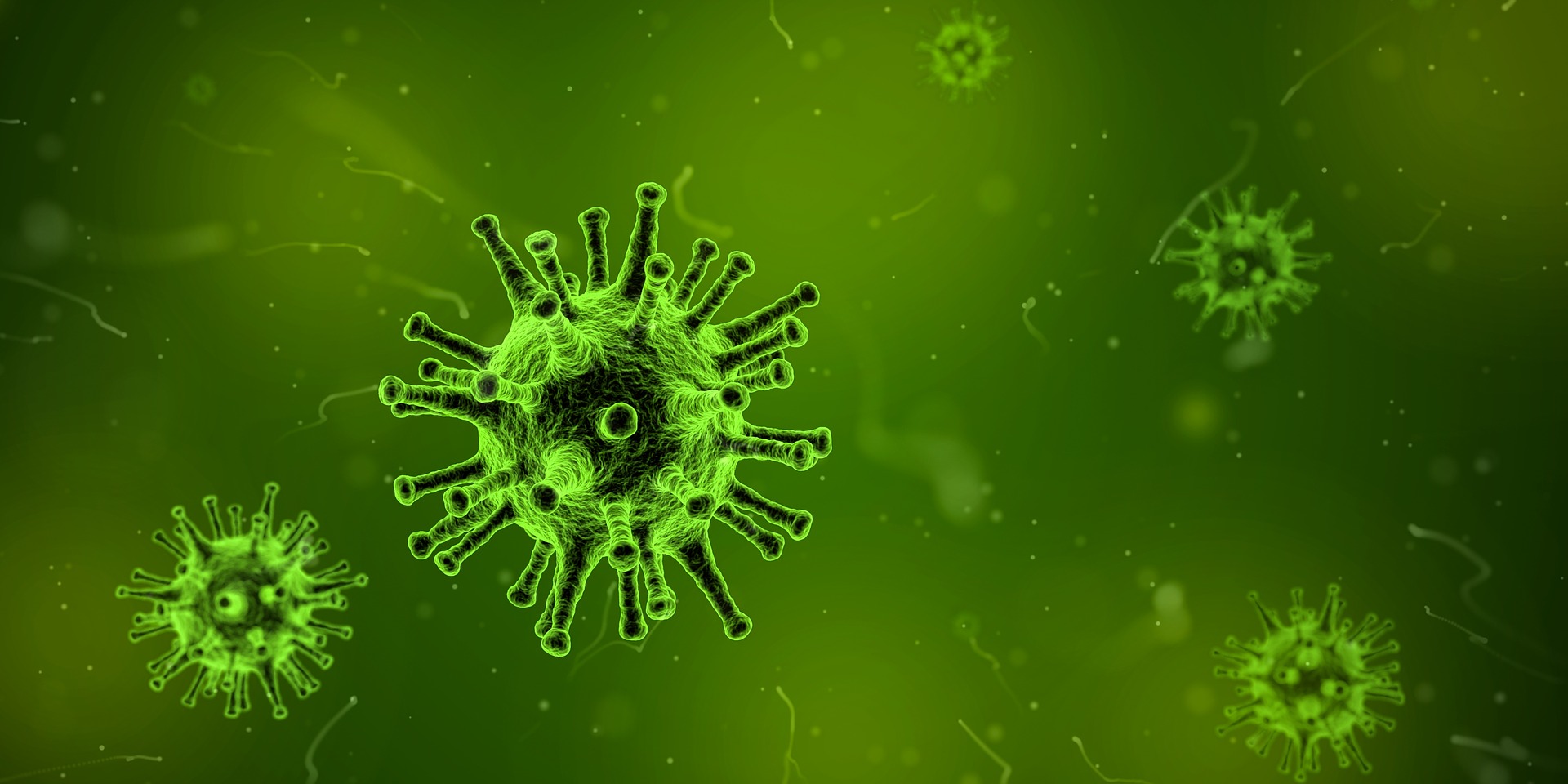Germ.jpg