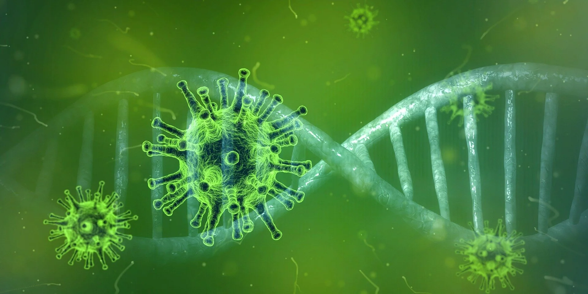 Germ transfer units