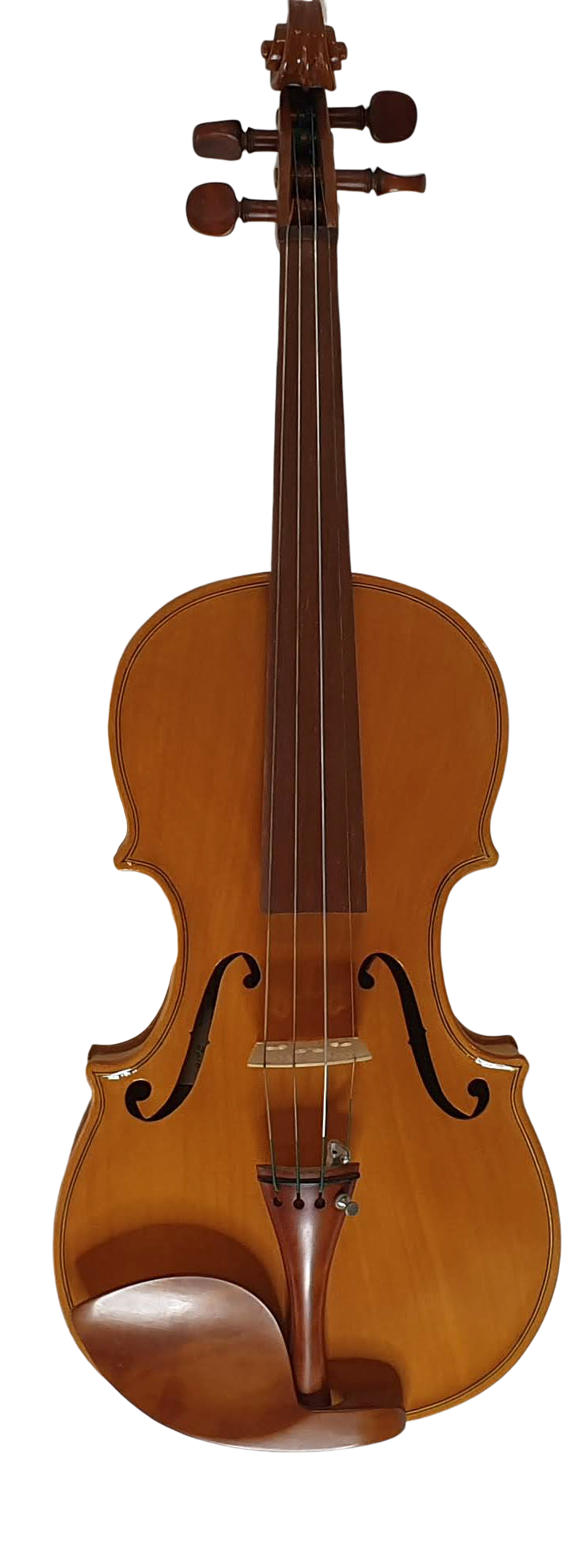 Violin (21) — Melbourne violin, cello and viola