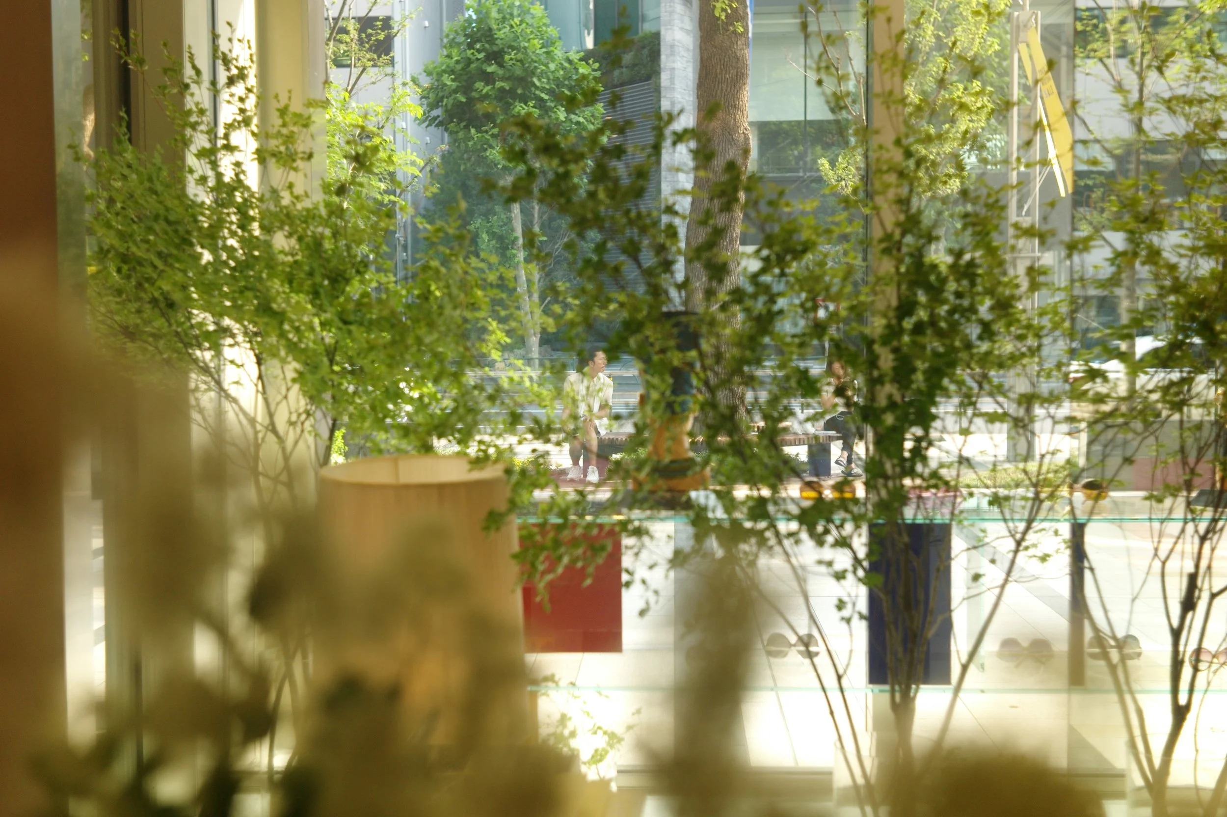 l1007060.jpg
