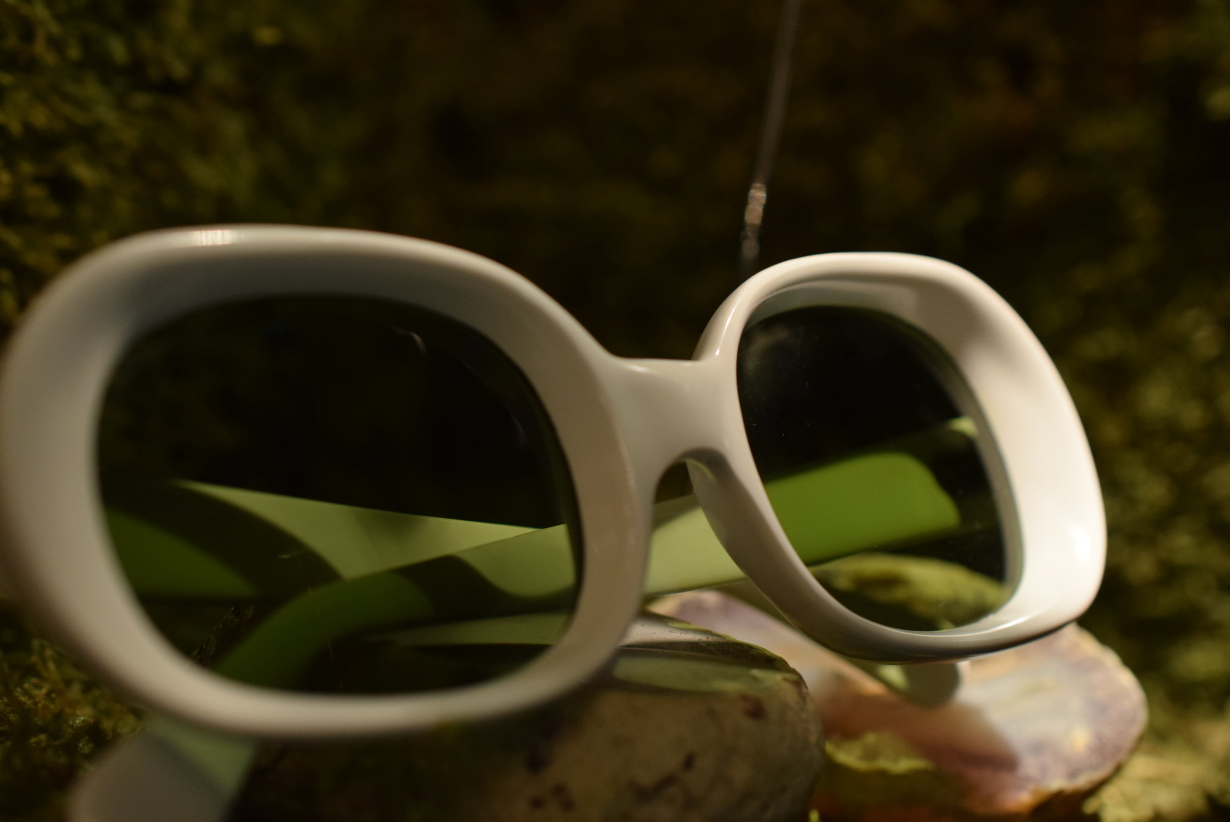 black flys sunglasses south africa