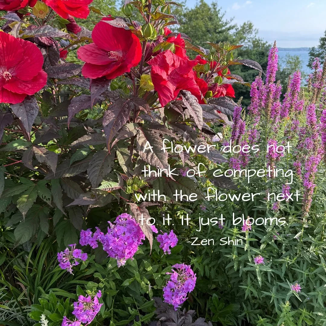 Let Yourself Bloom 🌻